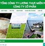 Công Ty Xuất Khẩu Nông Sản Trên Sàn Chứng Khoán