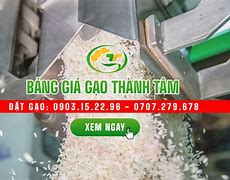 Giá Gạo Mới Nhất Hôm Nay