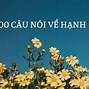 Hạnh Phúc Có Phải Từ Hán Việt Không