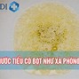 Tại Sao Nước Tiểu Lại Có Bọt