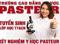 Văn Bằng 2 Tâm Lý Học Tphcm 2023